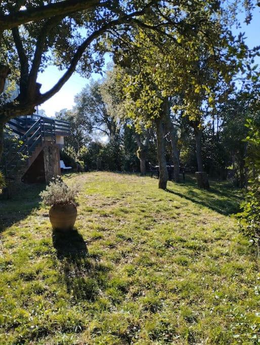 Villa Casa De Camp Prop De La Costa Brava Romanyá de la Selva Exterior foto